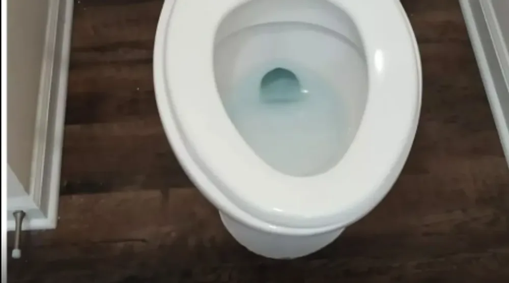 Toilet, after