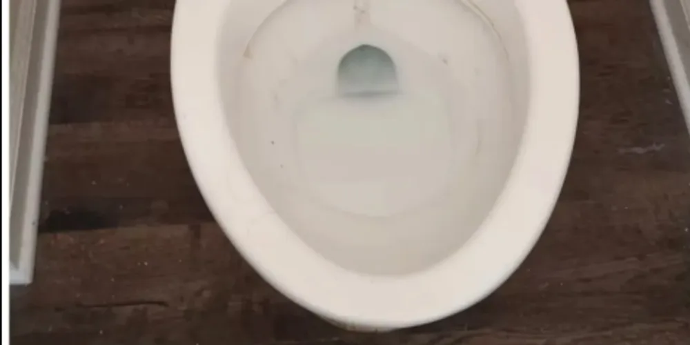 Toilet, before